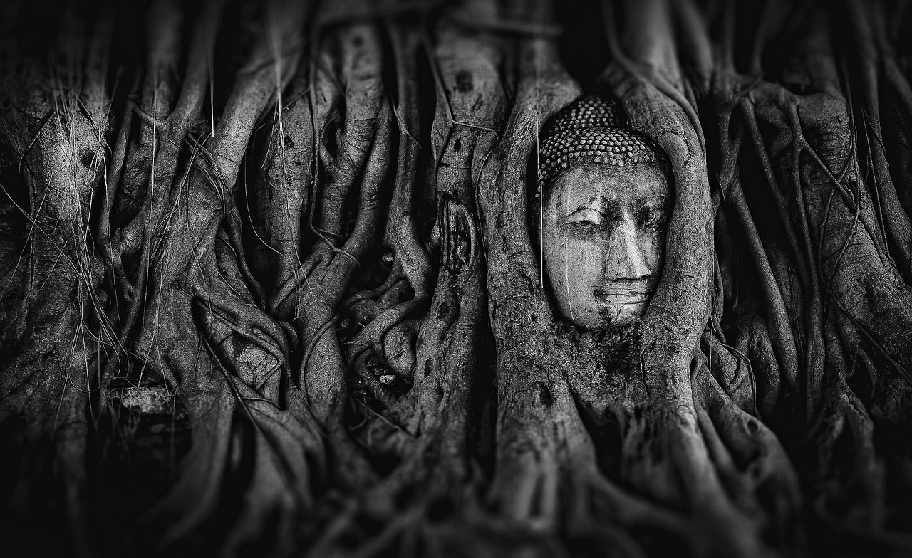 太古神王吧最新章节揭秘，神秘世界的奇幻之旅探寻