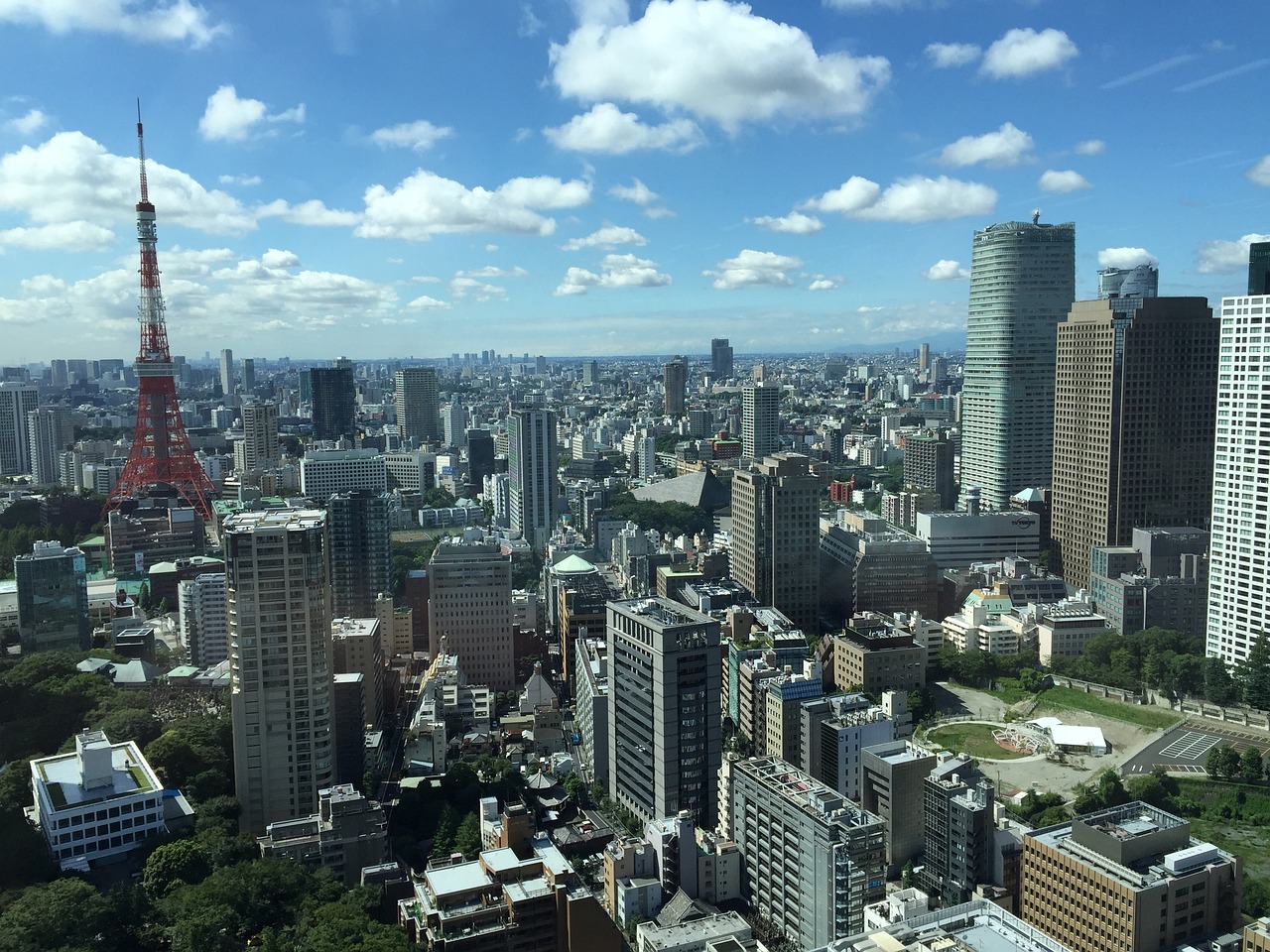 梦里开花 第34页