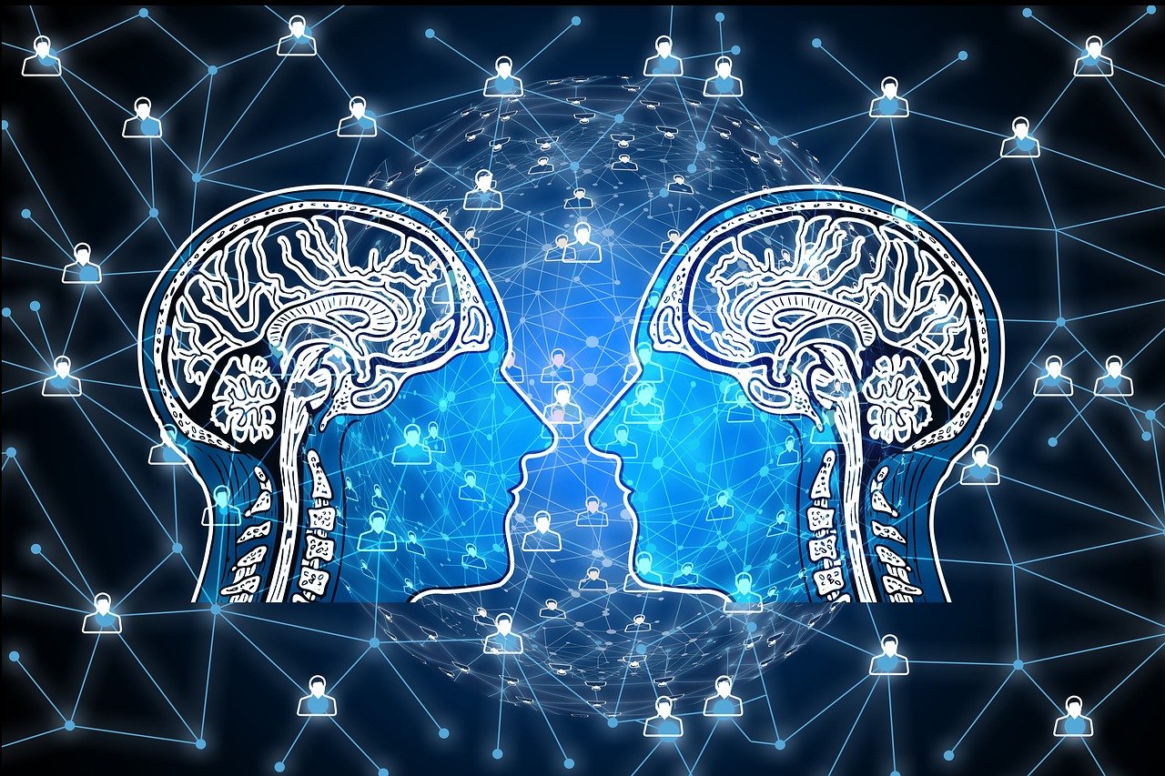 醉玲珑最新网络播放量揭秘，背后的魅力与影响力