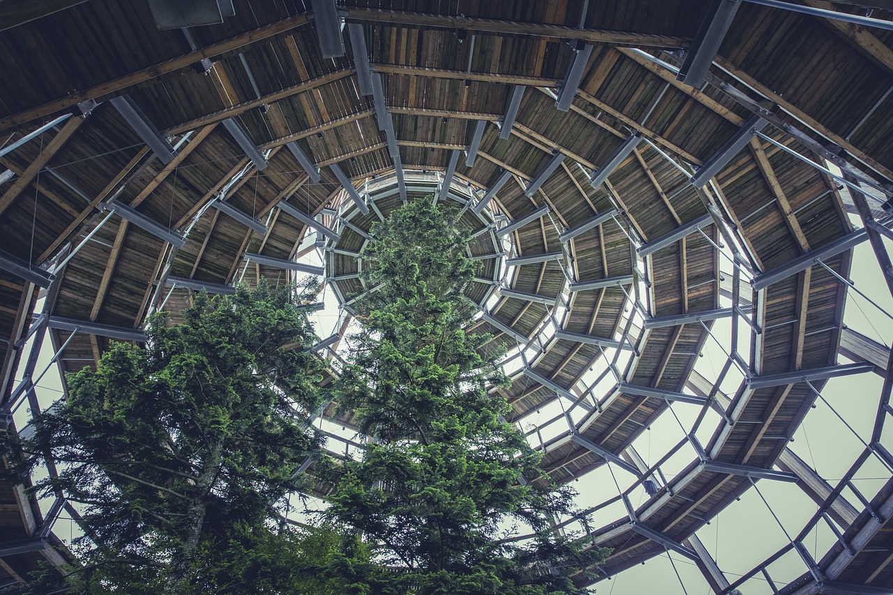 开封恒大帝景最新消息全面解读